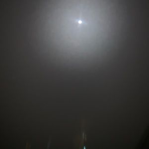 Meet your Posher, Alejandro